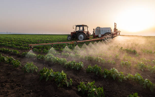 Best Insect Control  in Atmore, AL