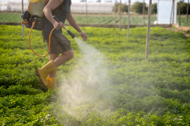 Best Wasp Removal Services  in Atmore, AL