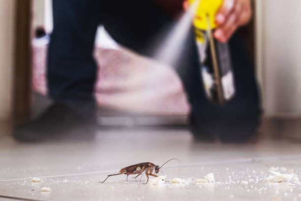 Best Pest Removal Services  in Atmore, AL