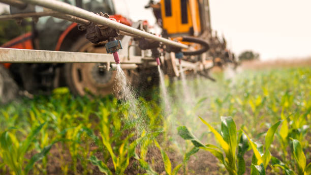 Best Ant Control Services  in Atmore, AL
